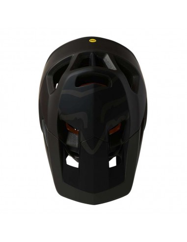 CASCO PROFAME