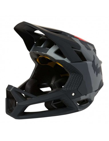 CASCO PROFAME