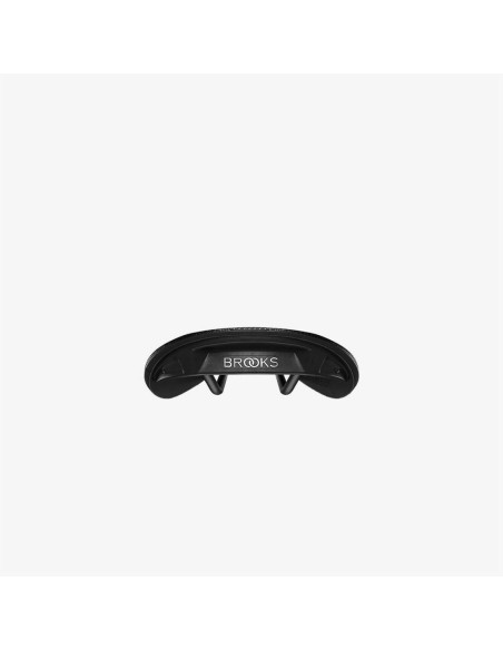 Brooks Cambium C15 saddle