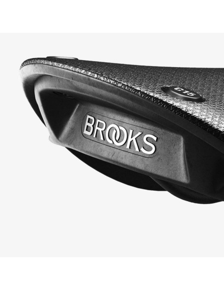 Brooks Cambium C15 saddle