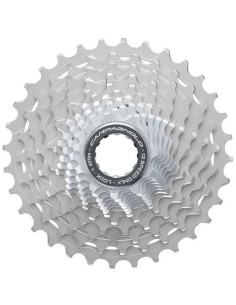 CS19-SR1212-1286452_1.jpg