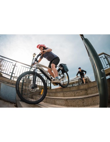 Aeroe - Portapacchi posteriore Spider Pannier Rack