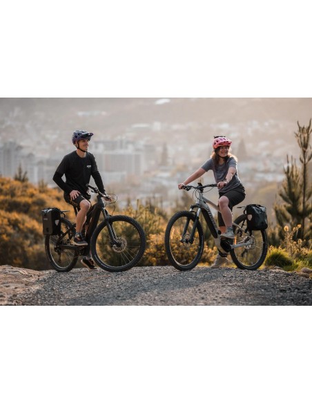 Aeroe - Portapacchi posteriore Spider Pannier Rack