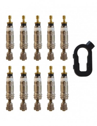KIT 10 NUCLEI VALVOLA PRESTA